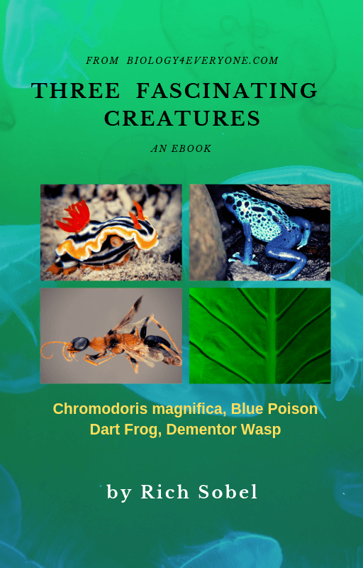 ebook by Rich Sobel